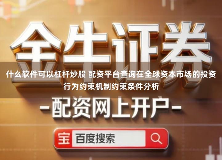 什么软件可以杠杆炒股 配资平台查询在全球资本市场的投资行为约束机制约束条件分析