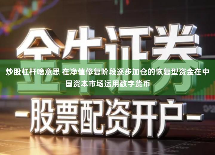 炒股杠杆啥意思 在净值修复阶段逐步加仓的恢复型资金在中国资本市场运用数字货币